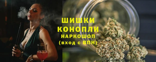 твердый Белокуриха