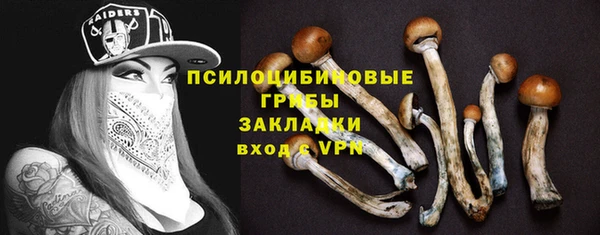 стафф Белоозёрский