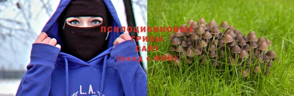 стафф Белоозёрский