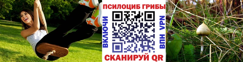 гидра маркетплейс  Цоци-Юрт  Галлюциногенные грибы мицелий 